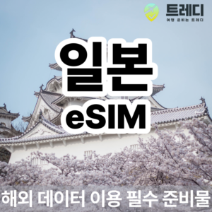 후쿠오카 당일치기 항공권 부산에서 출발하는 완벽한 일정 19 후쿠오카 투어