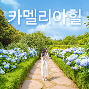 제주 투어