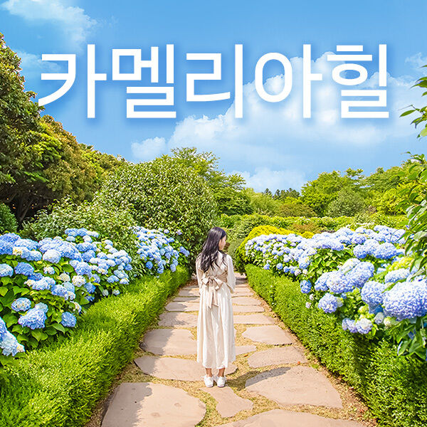 제주 투어