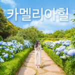 제주 투어